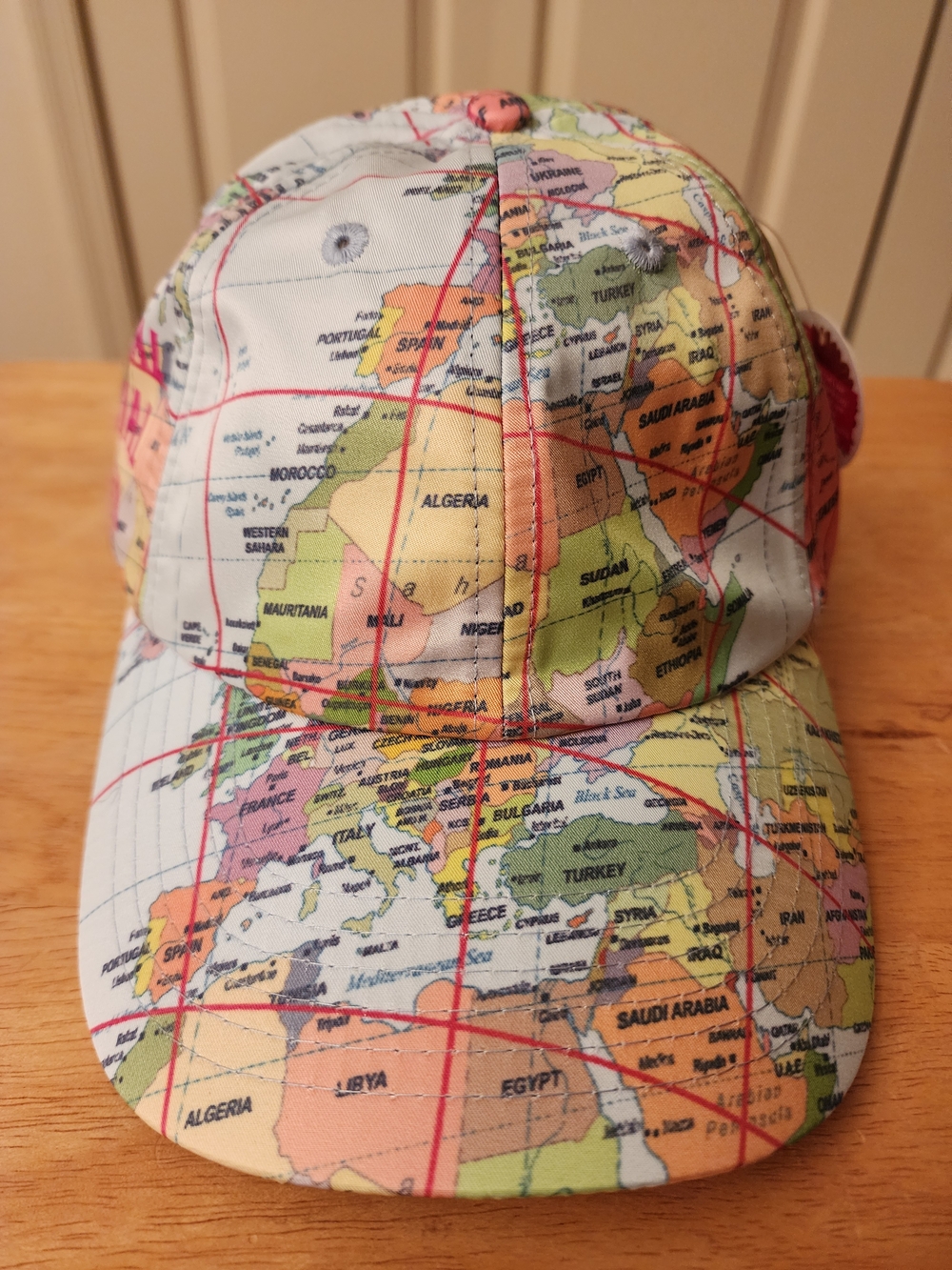 Anti Social Social Club World Map Print Hat in Multi-Color Strap Back